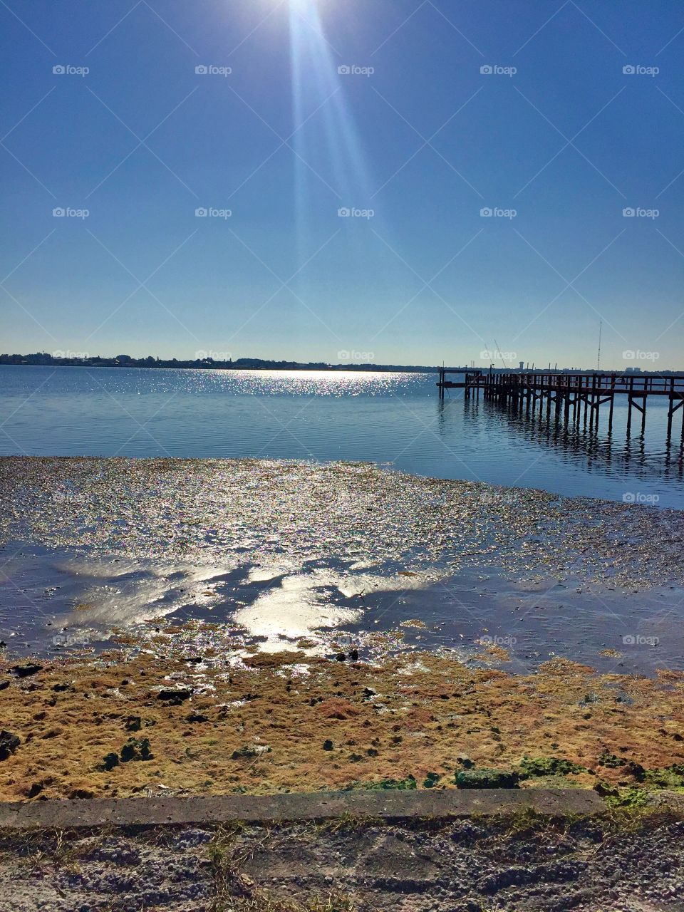 Sunbeam over Florida waterway 