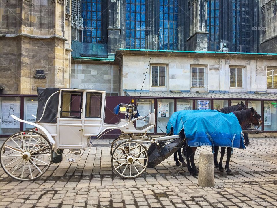 Carriage with two houses in the center of Wien