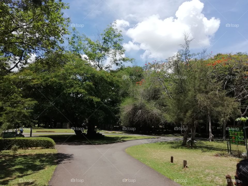 Random clicks # parthway of a beautiful garden