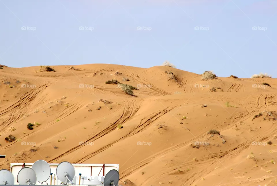 Desert