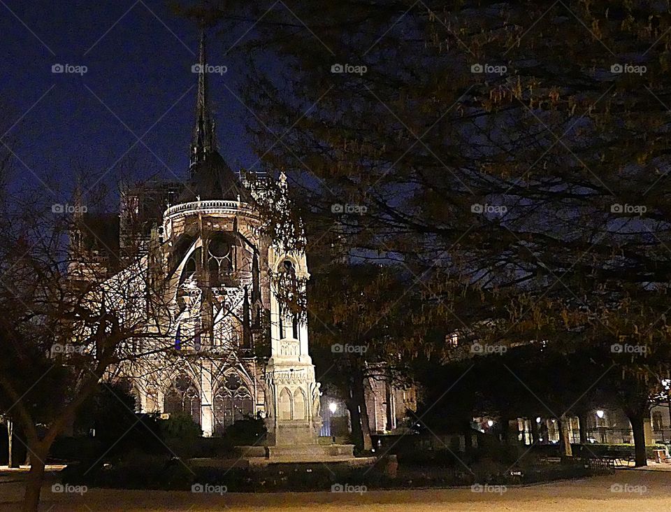 Amazing photos I took March 2019 of Notre-Dame Catholic Cathedral, one of France’s greatest National Monument, before it was ravaged by fire 🔥