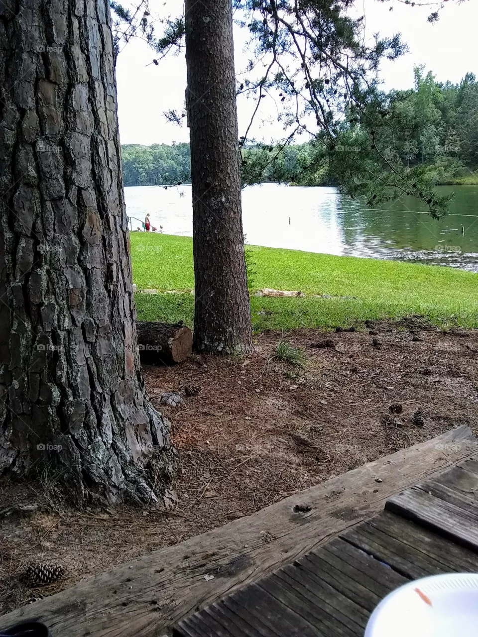 lake view