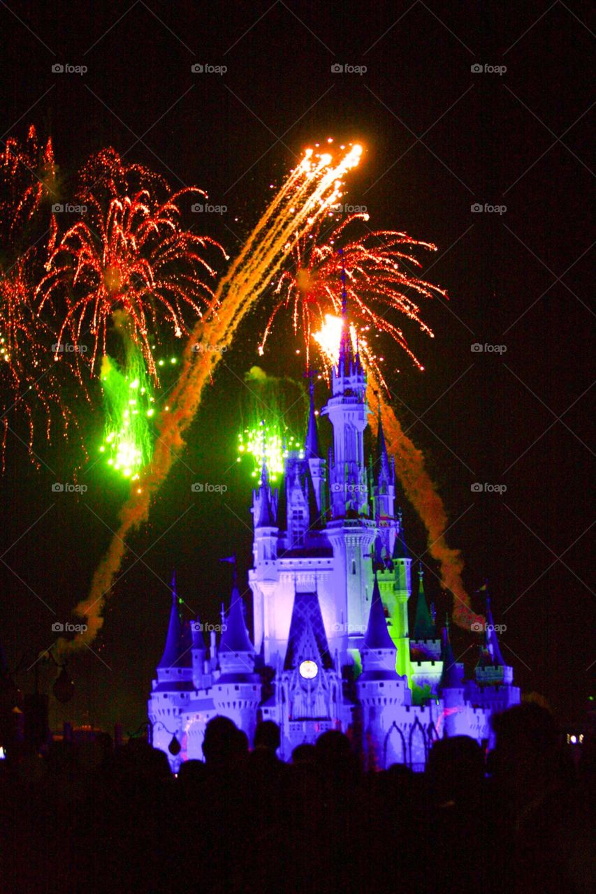 Disney Magic 