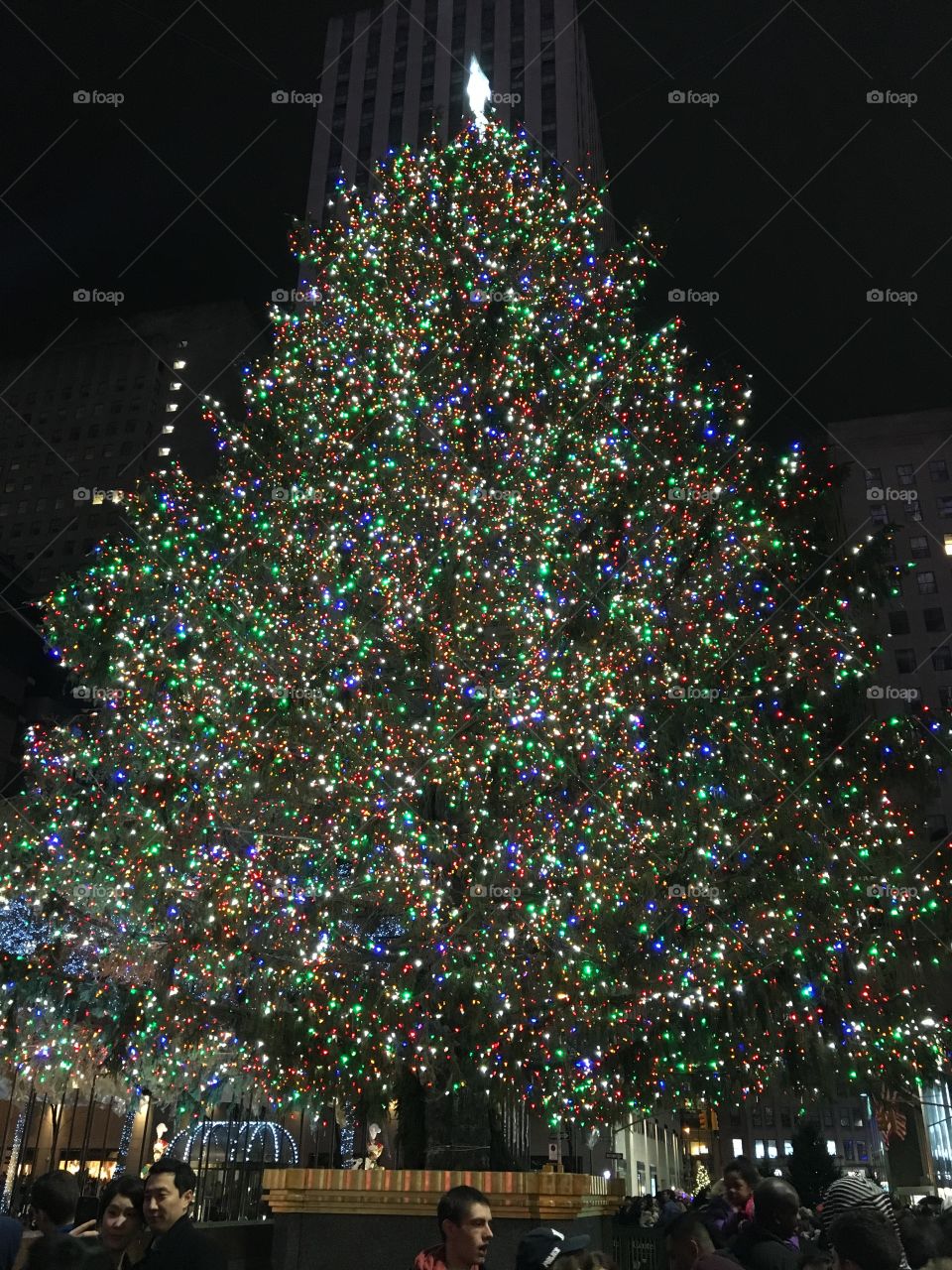 Rockefeller Christmas tree 