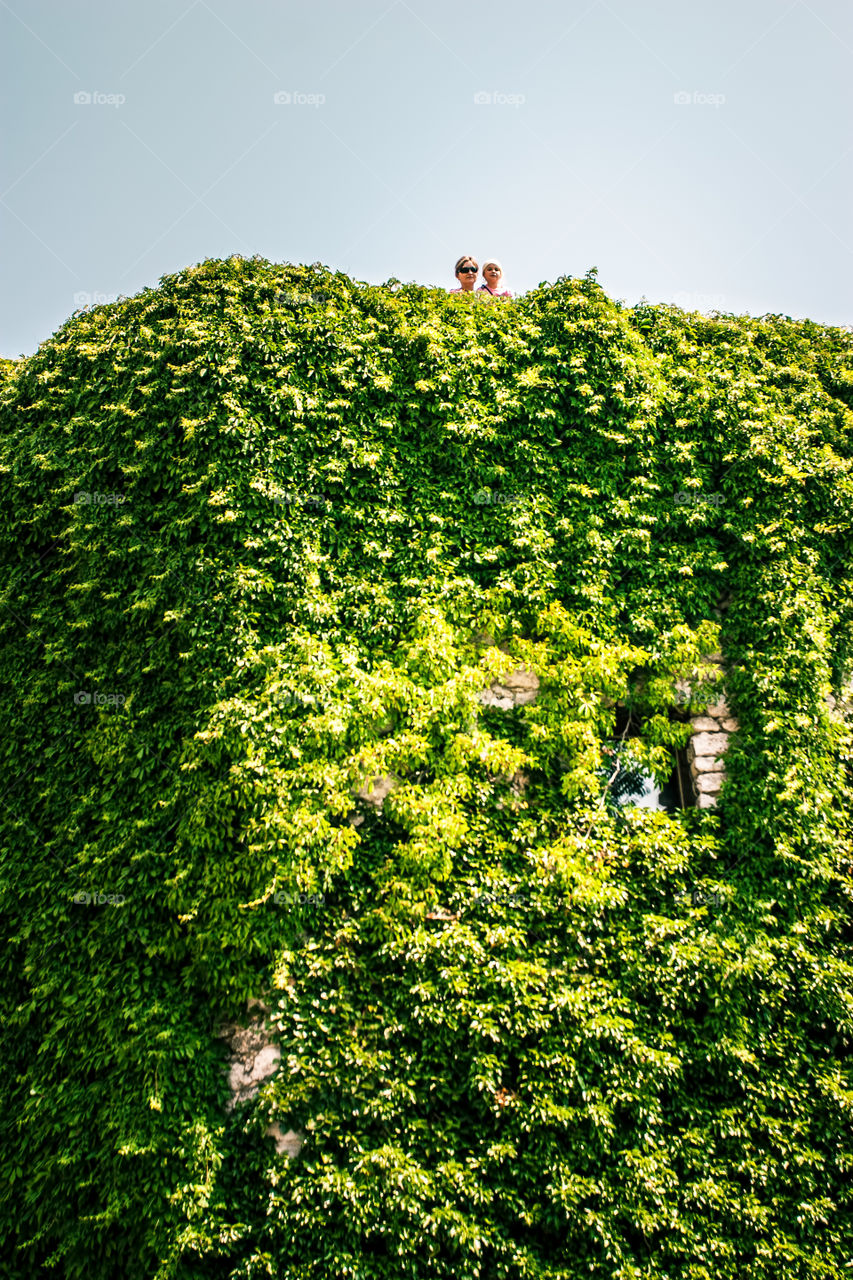 Two girls in a green tower