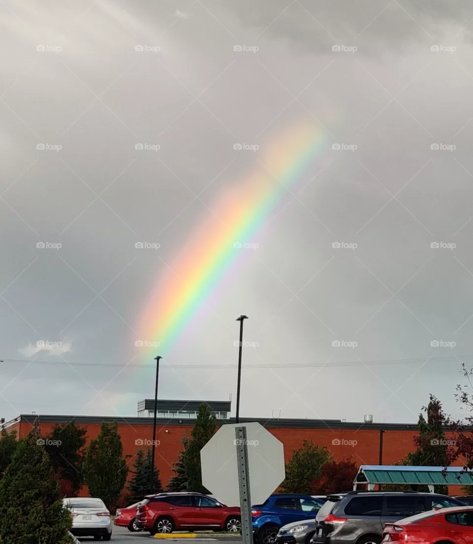 cute rainbow