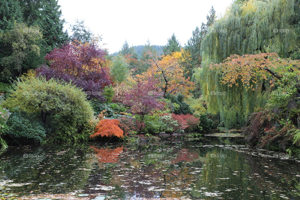 Trees with autumn colors mirroring in the water