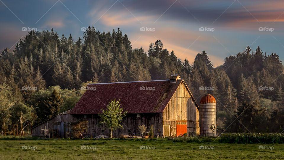 Wooden barn house in the forest