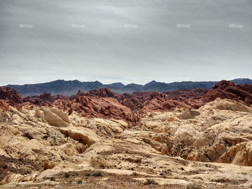 Valley of Fire rainbow rock. trip 2015