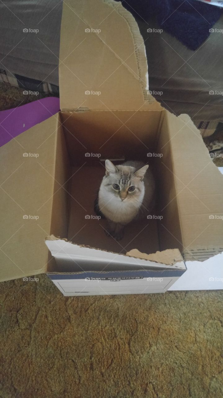 my box
