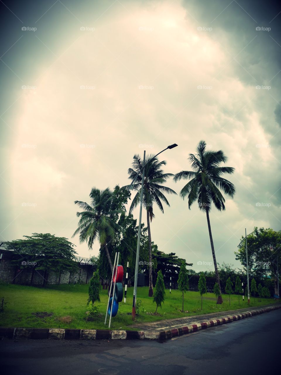 Beauty of Flora
Coconut trees 🌴🌴🌴
Cloudy Weather💭💭🗯️🗯️
🍀🍀🍀🍀🍀