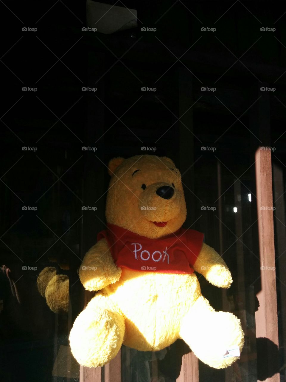 Pooh in Japan