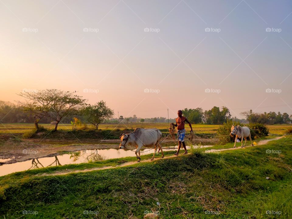 Beautiful Village Life