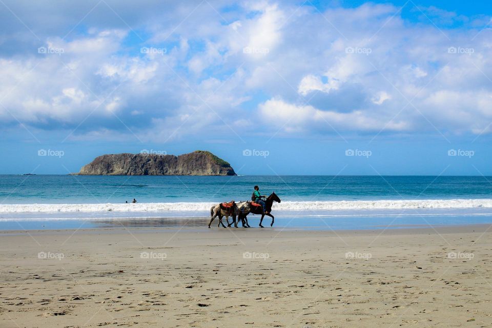 A man with horses on the b
sandy beach at a leisurely gallop. Manueloantonio beach.  Costarica