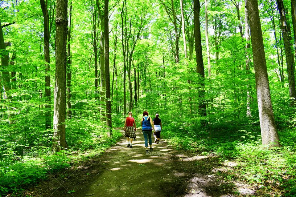 Hiking in turkey run state park in Indiana. 