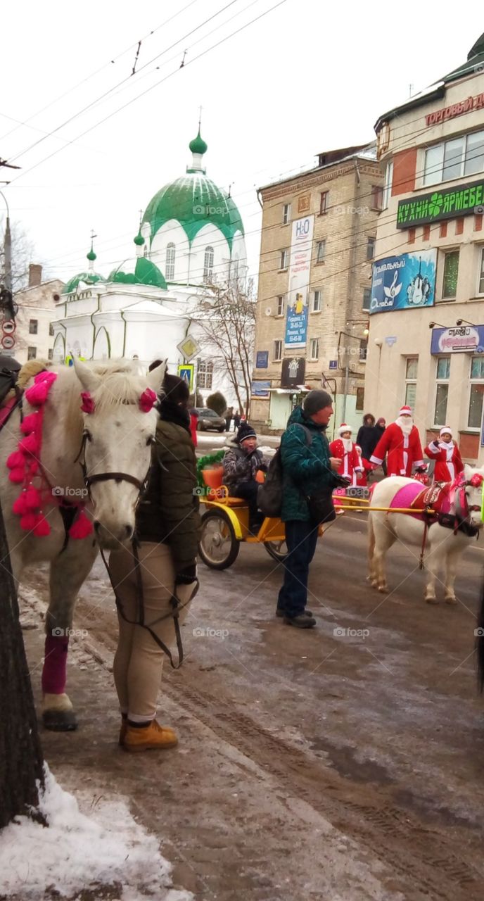 кони.пони.Праздник.