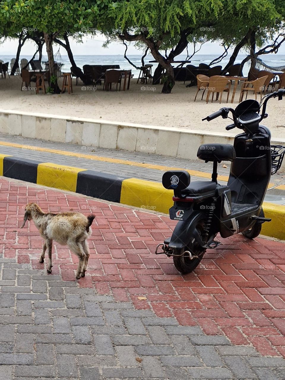 Gili Trawangan Island is a place where you can drive only motorcycles, horses, or bicycles. Cars are not allowed 🚫