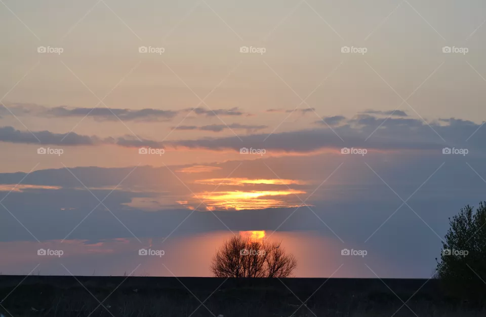 sunset