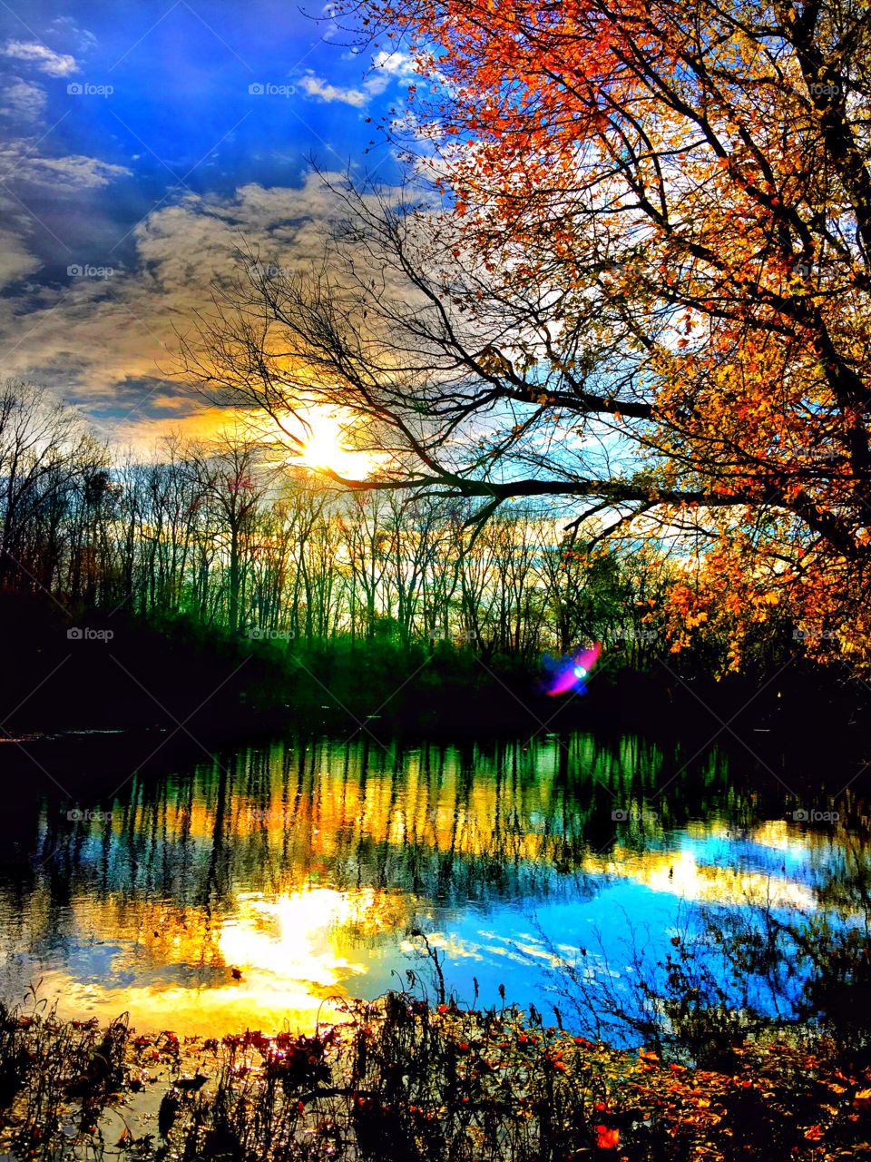 Beautiful fall at sunset on the river. 