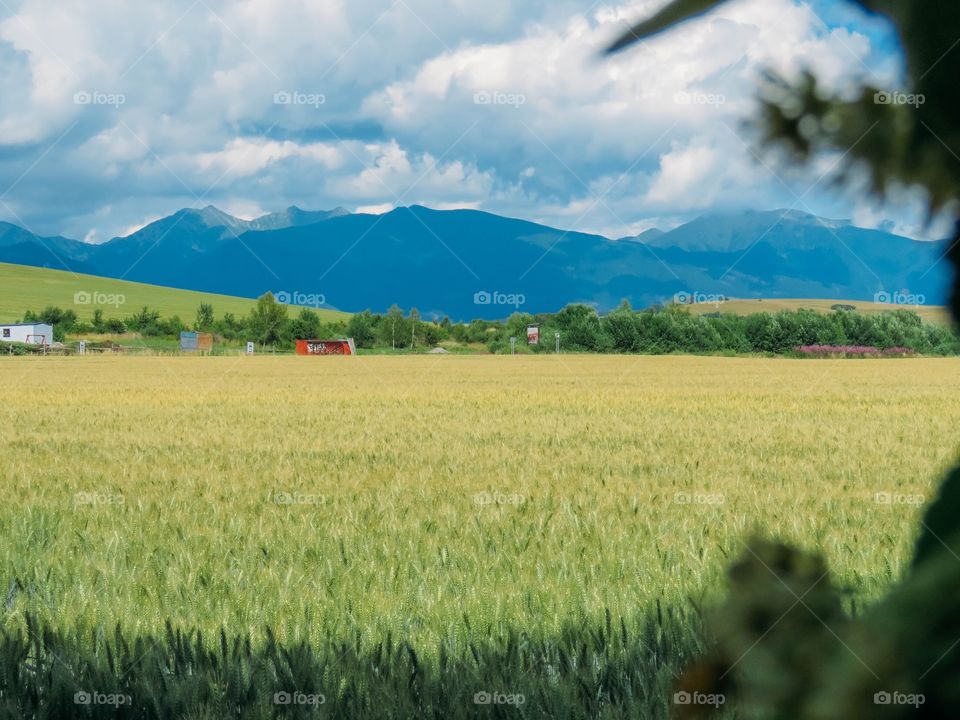 beautiful nature of Slovakia in summer