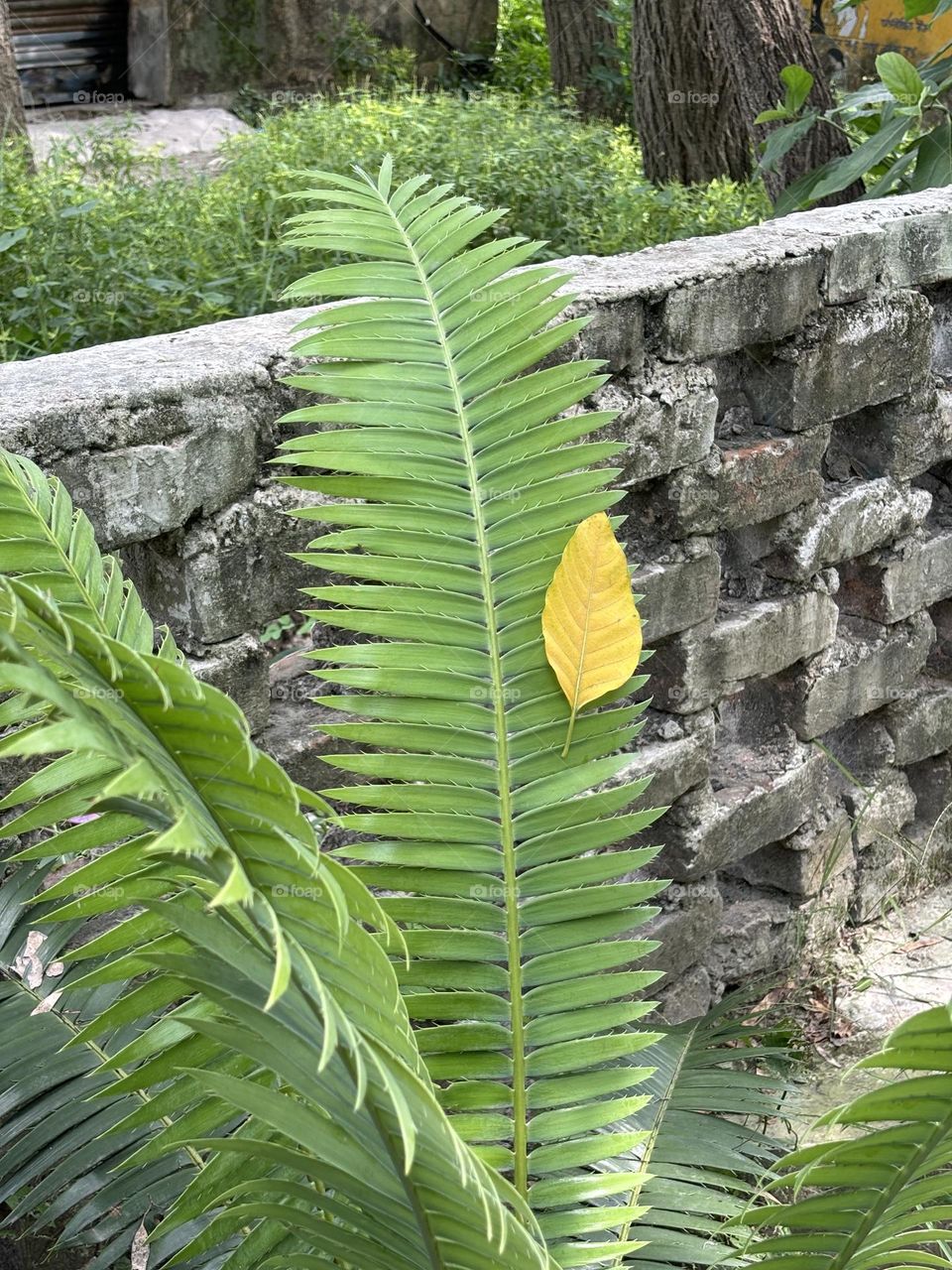 The generation match!