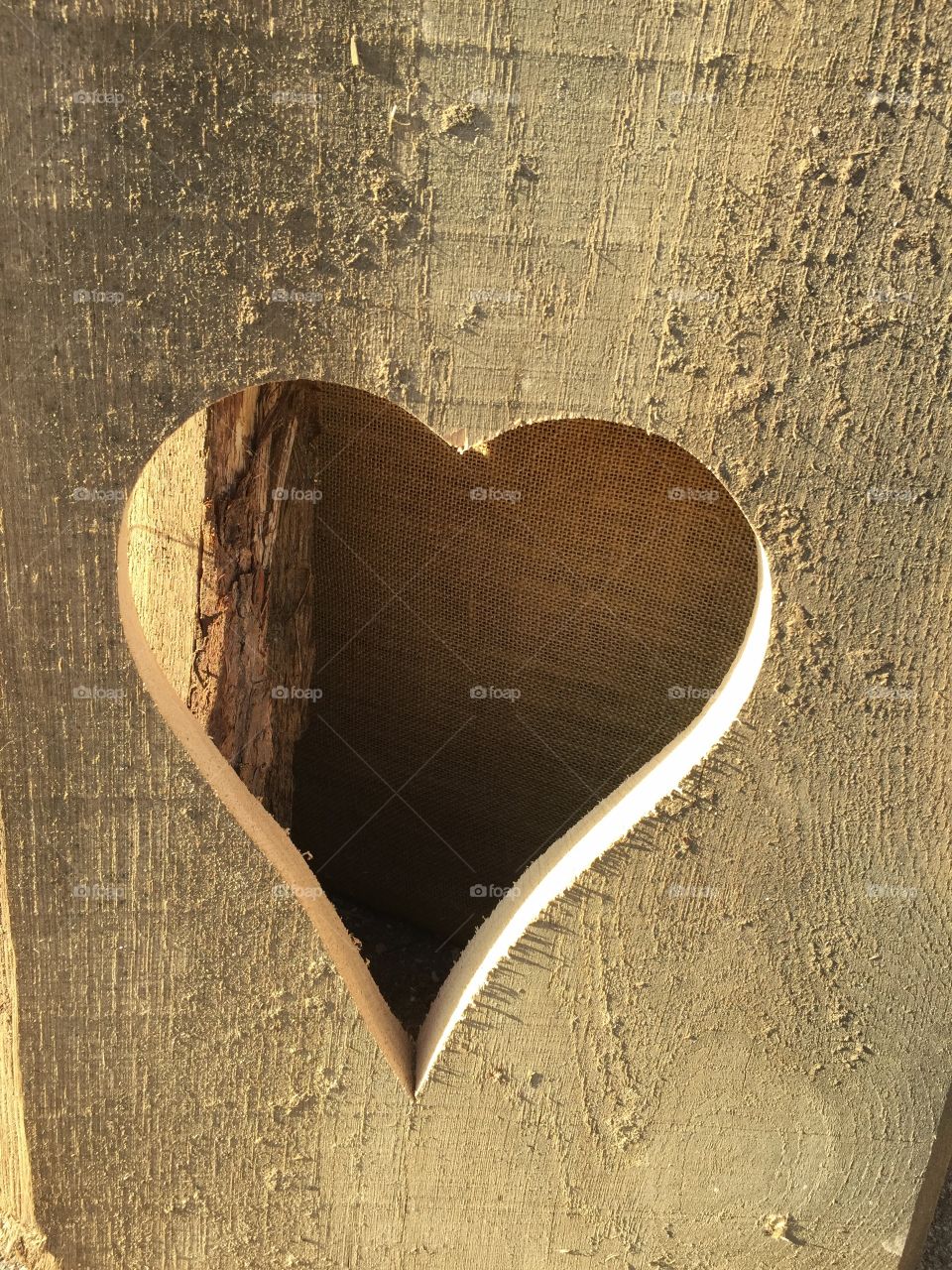 Heart cut-out in a piece of wood on a sunny day.