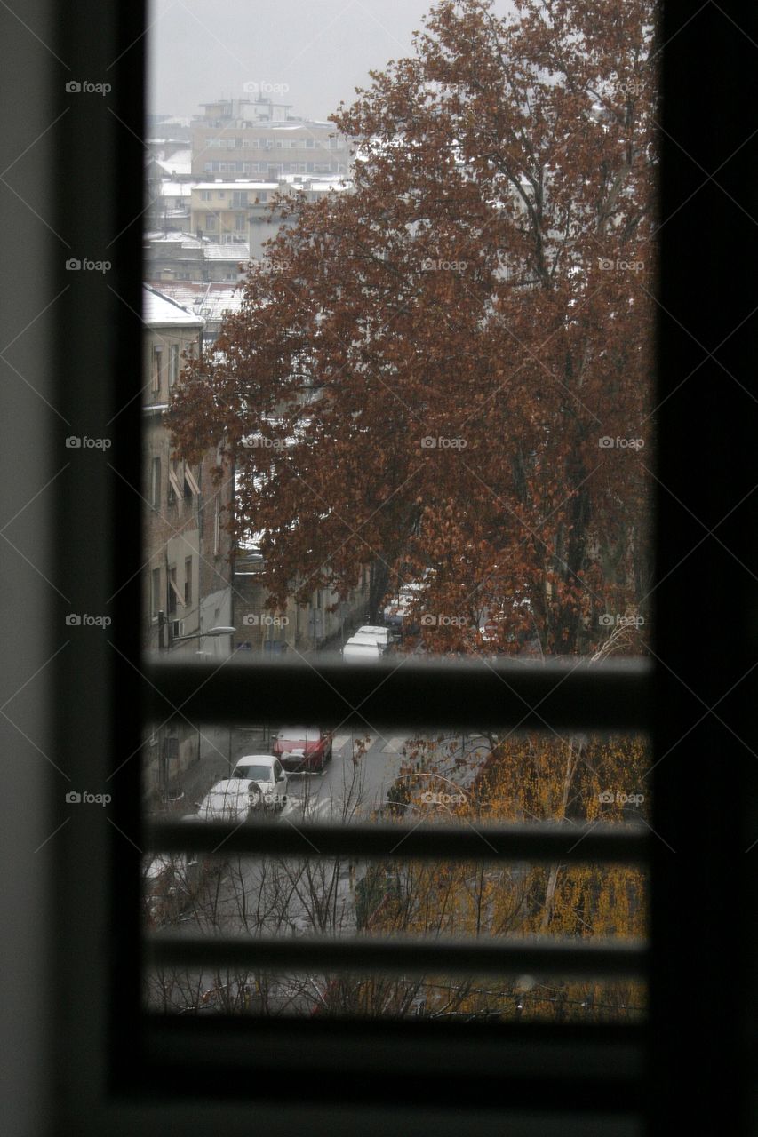 Window of winter