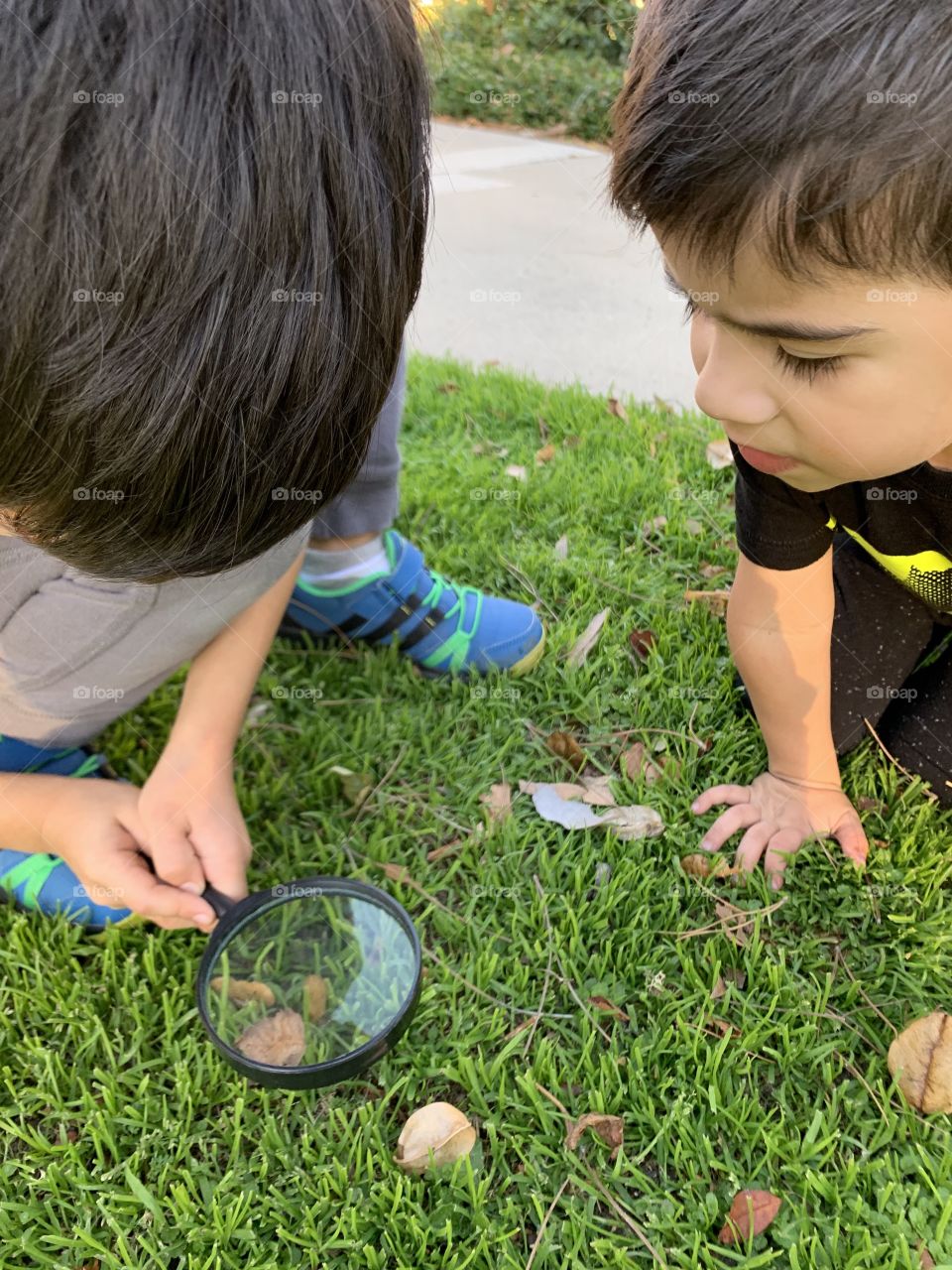 Magnifying glass