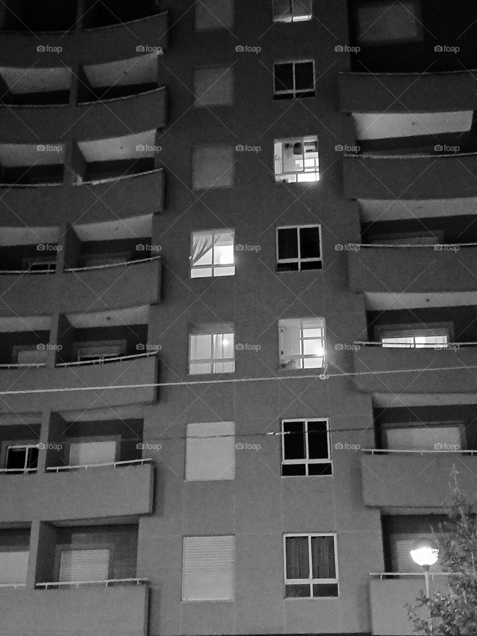 Windows on the night.