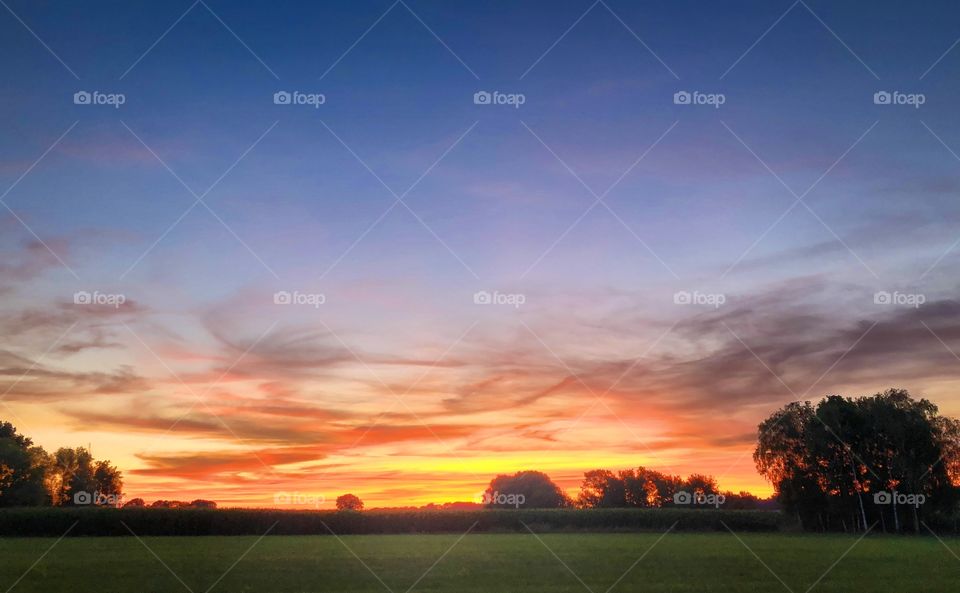 Dramatic and colorful fiery sky over a meadow and trees is a rural Countryside landscape 