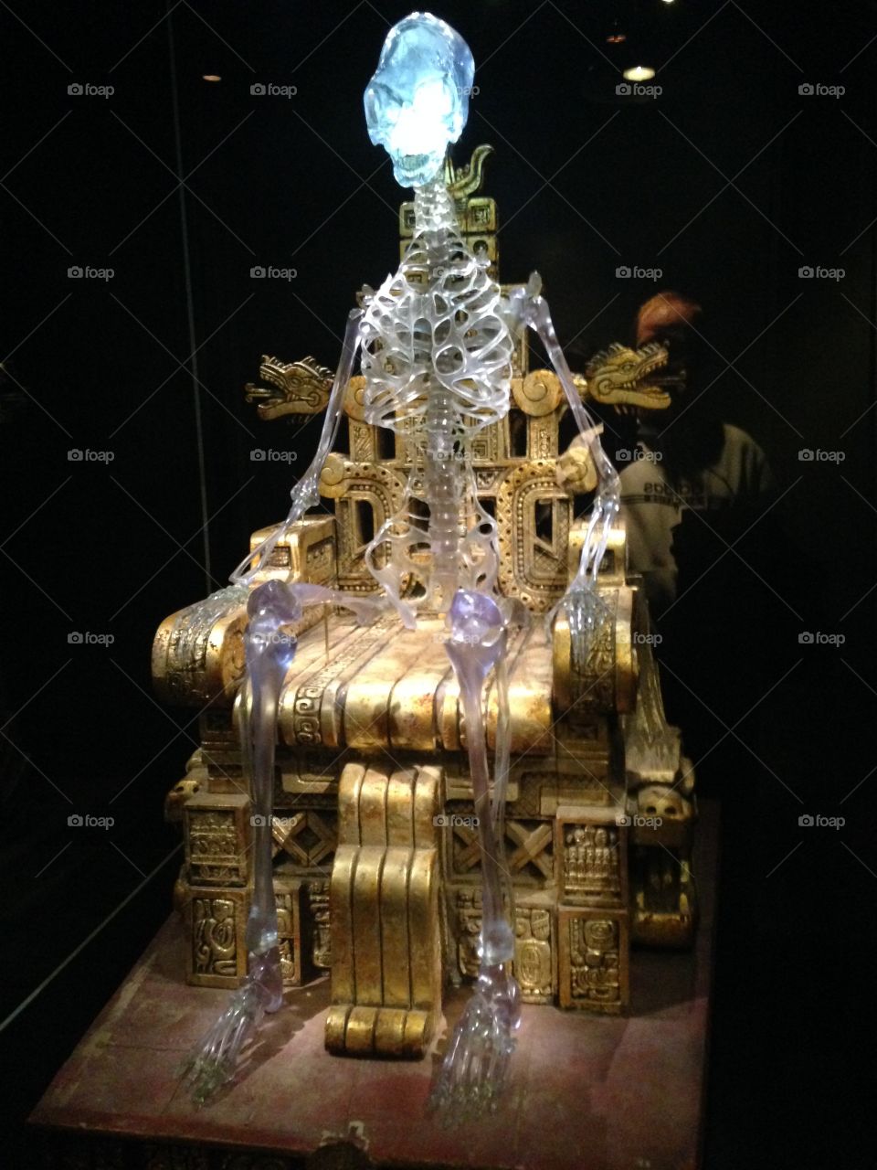 Complete crystal skull skeleton from the Indiana Jones movie