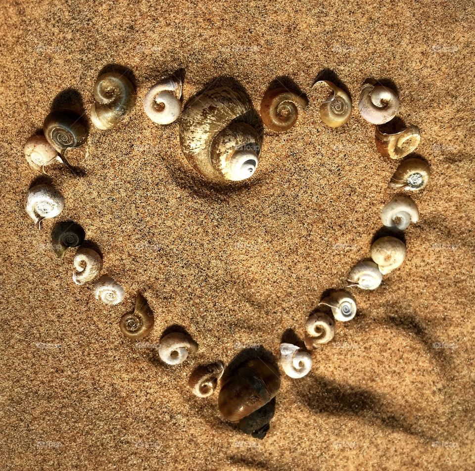 Heart made out of shells on the beach—taken in Ludington, Michigan 