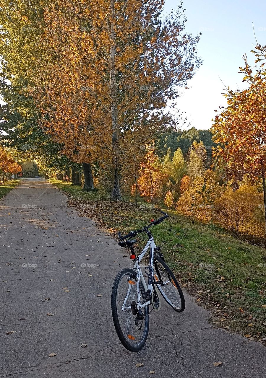 road trip bike on a road