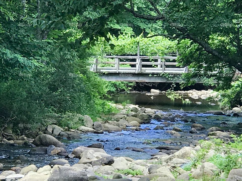 July in NC