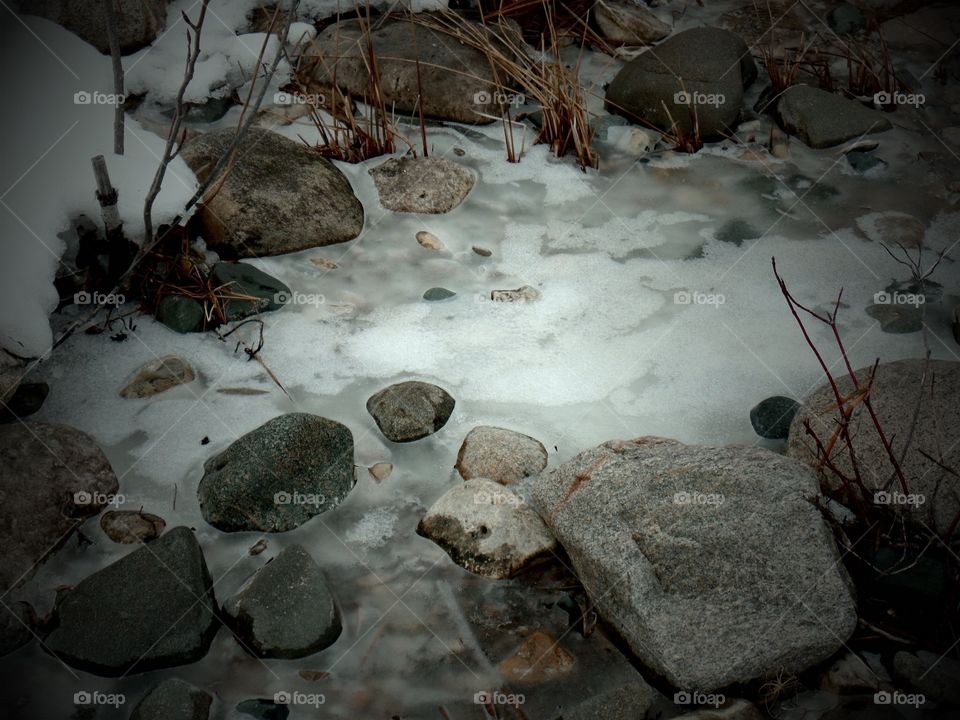 Northern Michigan 