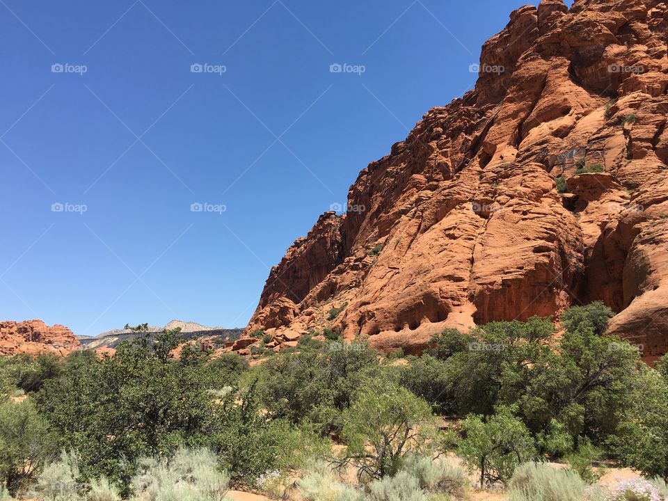 Snow Canyon 