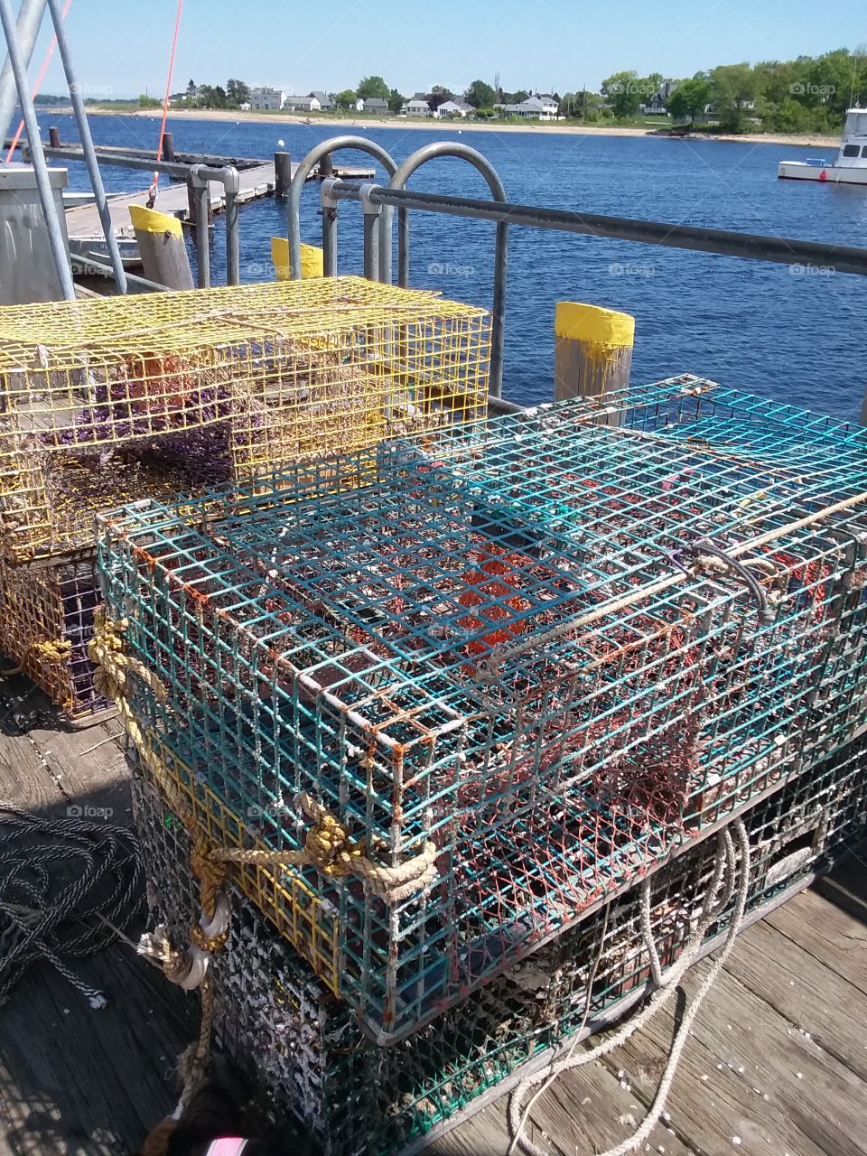 lobster traps