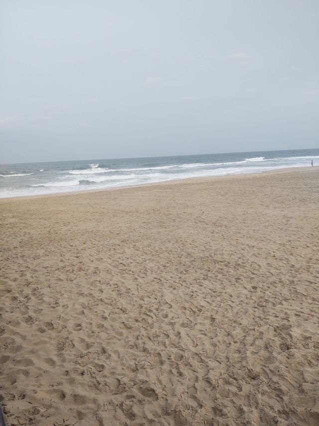 Nags Head Sands
