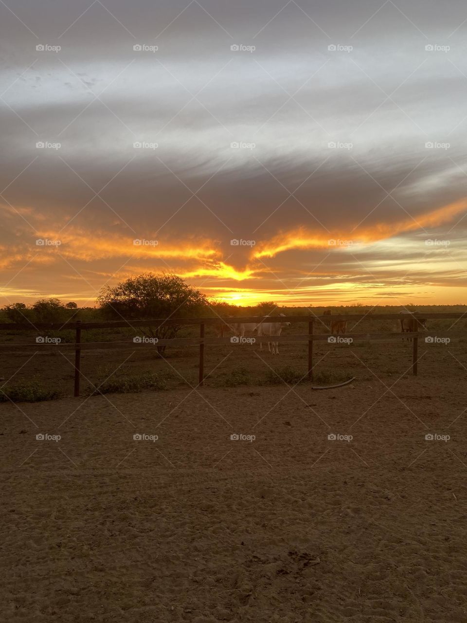 Outback cowboy country sunset with stunning cloud formations 