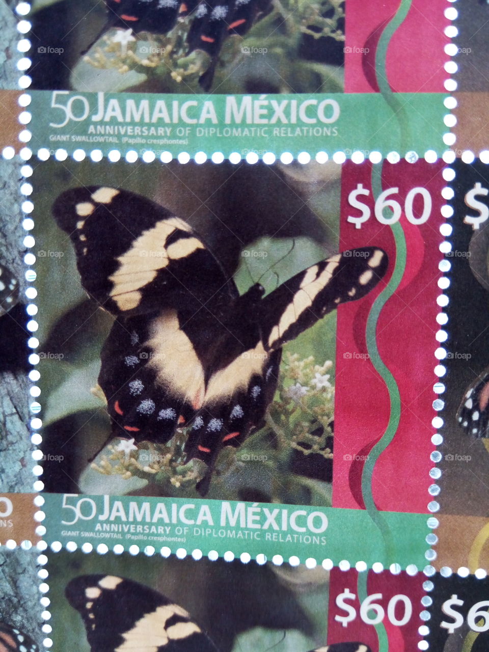 stamp depicting  butterfly