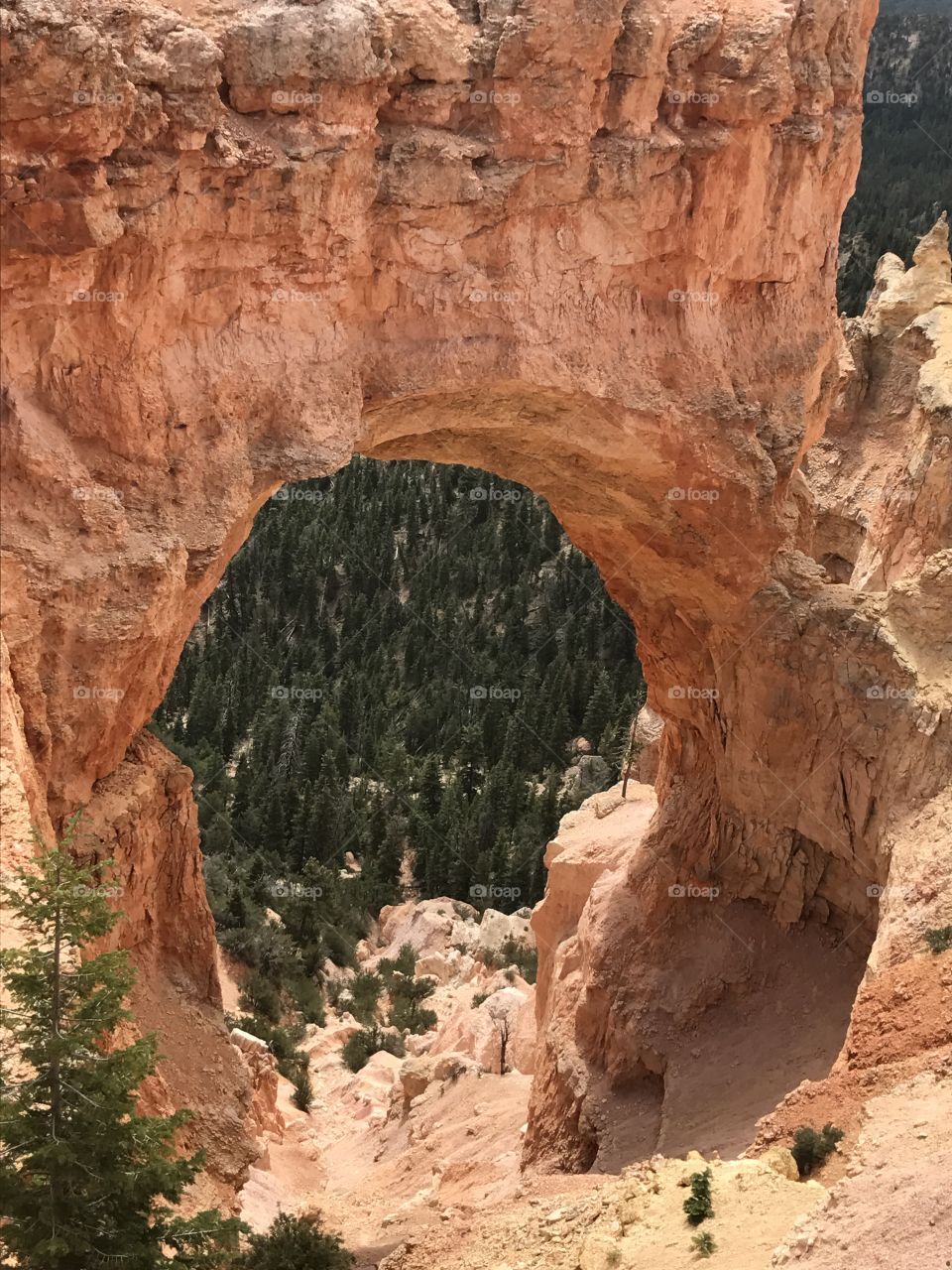 Looking through an arch 