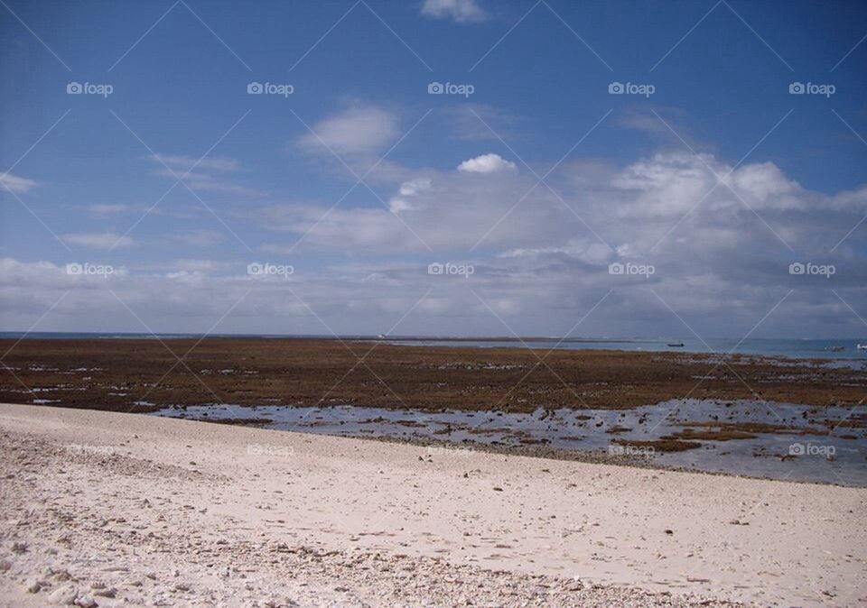 Low Tide lady Musgrave Island 