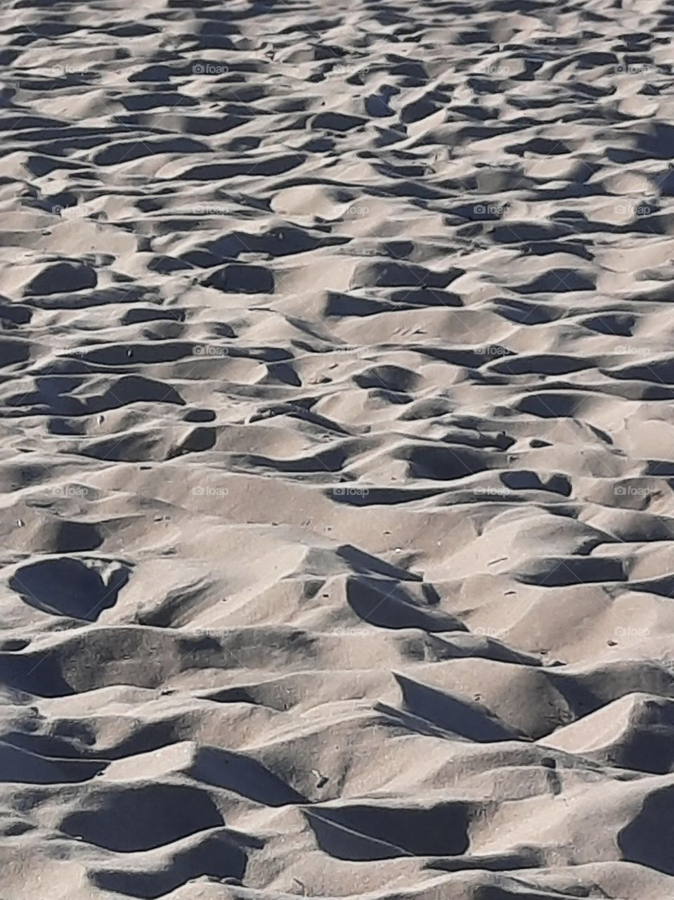 long shadows on summer afternoon at the beach