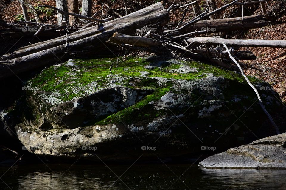 Mossy rock in the river