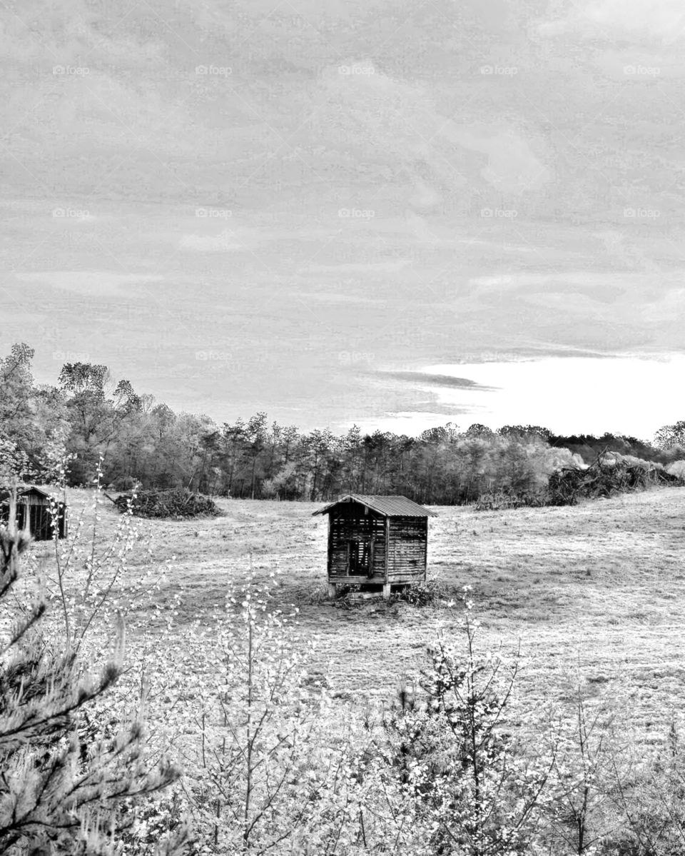 Barns nestled in the countryside.