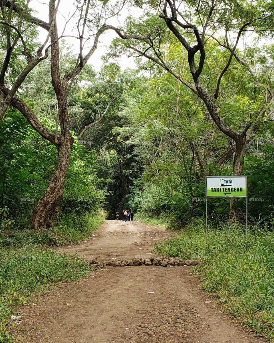 Tanzania Agricultural Research Institute (TARI) at Tengeru Arusha