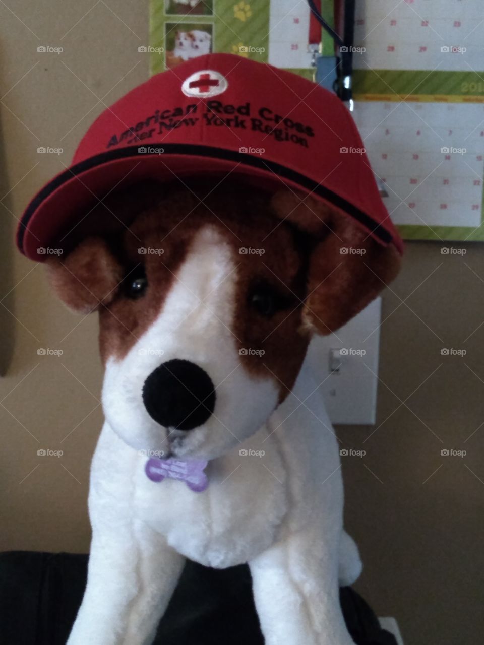 Stuffed animal with American Red Cross hat.