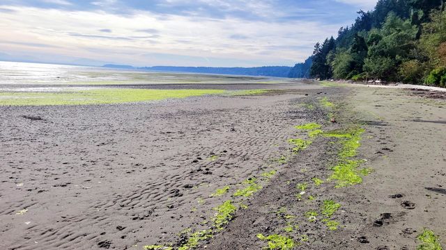 Whidbey Island - pacific northwest beauty with beautiful beaches and breathtaking sunsets. days spent searching for agates and nights enjoying fresh caught seafood and crab.