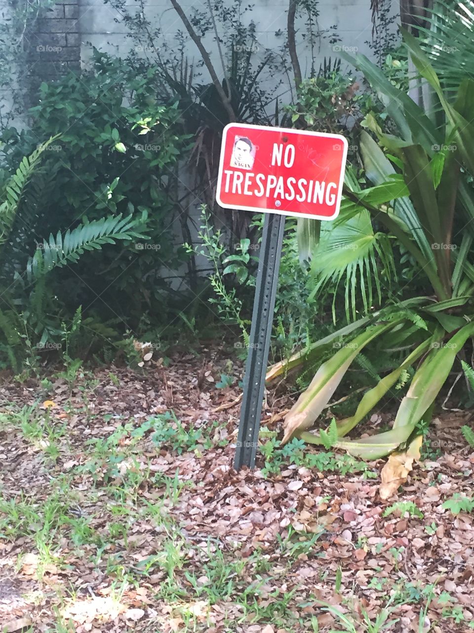 No Tresspassing. A sign reading no trespassing 