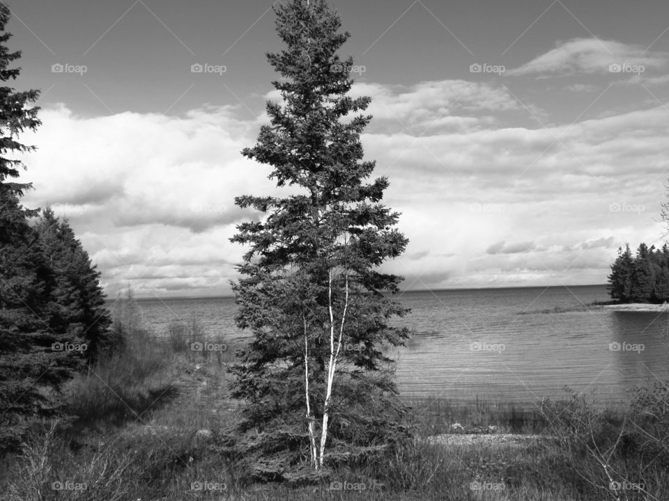 Drummond Island, Michigan 